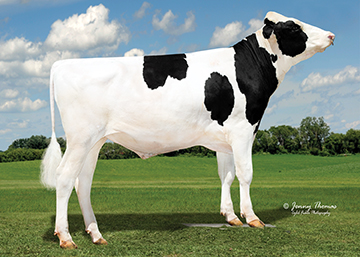 SELECT ( 7HO14920 ) : AVANT-GARDE UNIX SELECT-ET - Bull | World 